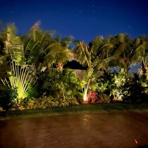 Landscape Lighting